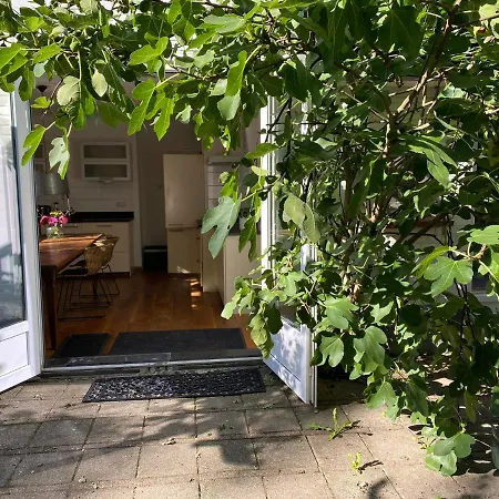 Bergzicht De Bosuil - Aan Het Bos Lochem