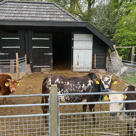 בית נופש Bergzicht De Bosuil - Aan Het Bos לוכם