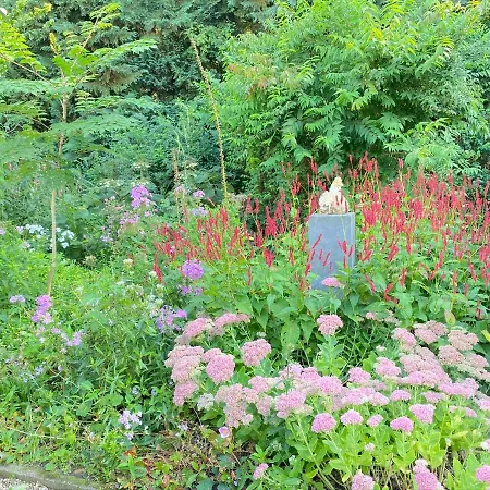 Bergzicht De Bosuil - Aan Het Bos לוכם
