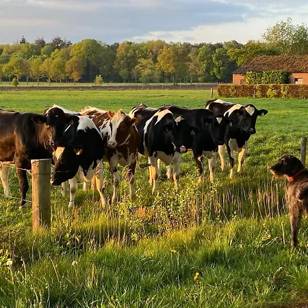 בית נופש Bergzicht De Bosuil - Aan Het Bos *