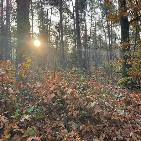 Bergzicht De Bosuil - Aan Het Bos בית נופש