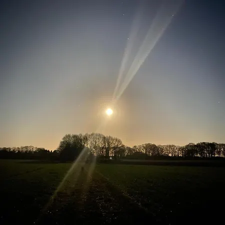 Bergzicht De Bosuil - Aan Het Bos לוכם