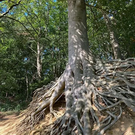 Σπίτι διακοπών Bergzicht De Bosuil - Aan Het Bos Lochem