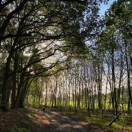 Bergzicht De Bosuil - Aan Het Bos