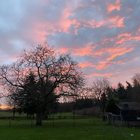 בית נופש Bergzicht De Bosuil - Aan Het Bos לוכם