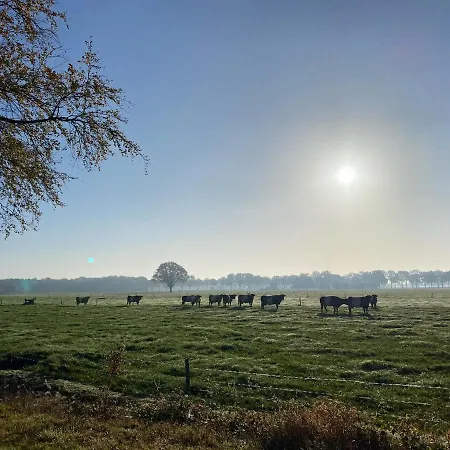 Bergzicht De Bosuil - Aan Het Bos בית נופש *