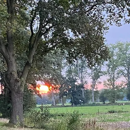 Bergzicht De Bosuil - Aan Het Bos