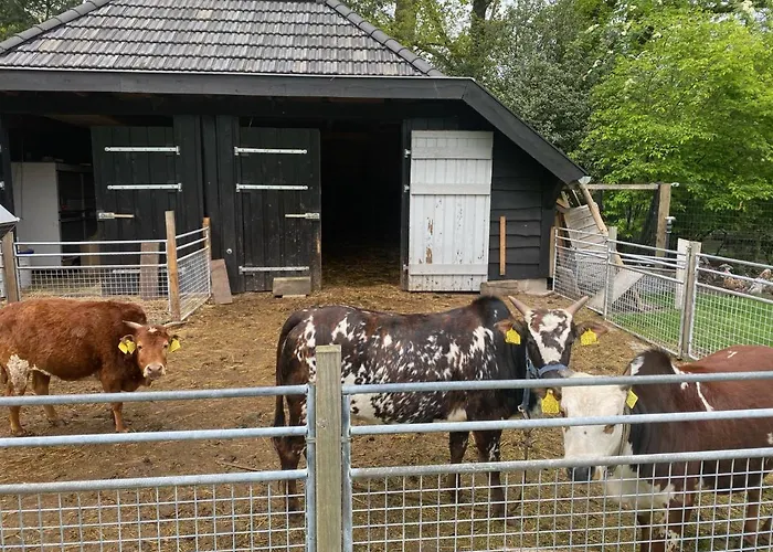 Сasa de vacaciones Bergzicht De Bosuil - Aan Het Bos Lochem