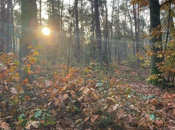 Bergzicht De Bosuil - Aan Het Bos Сasa de vacaciones