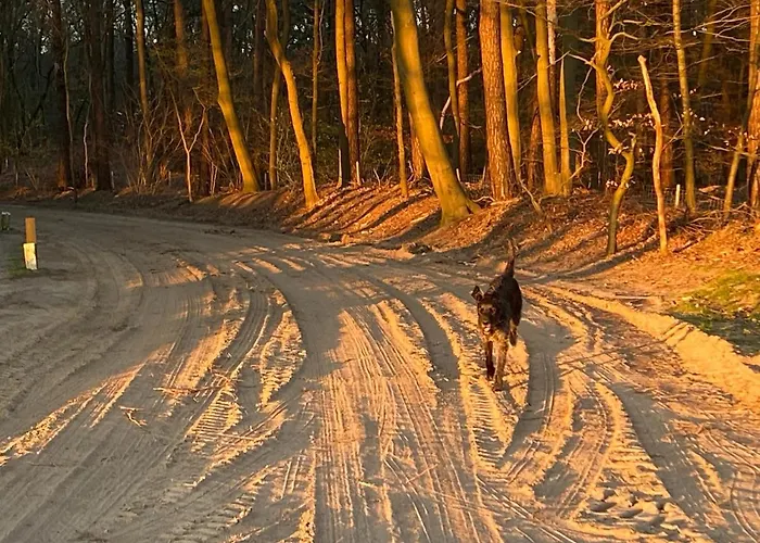 Bergzicht De Bosuil - Aan Het Bos Сasa de vacaciones *