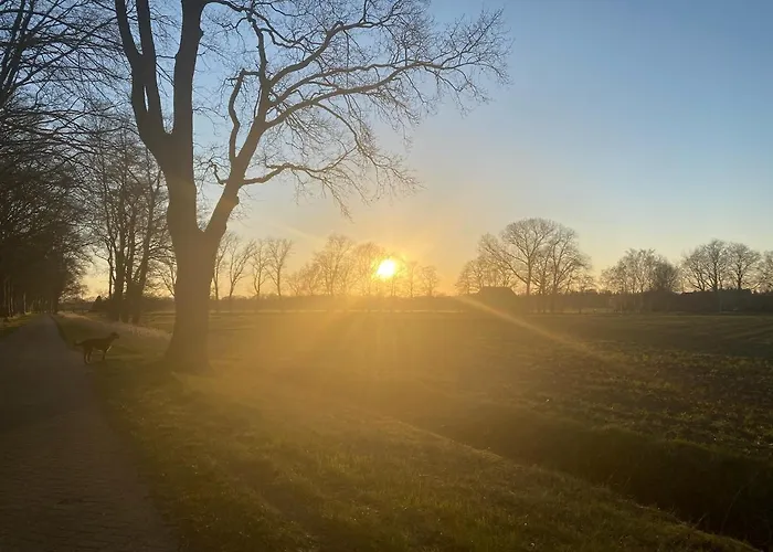Bergzicht De Bosuil - Aan Het Bos * Lochem