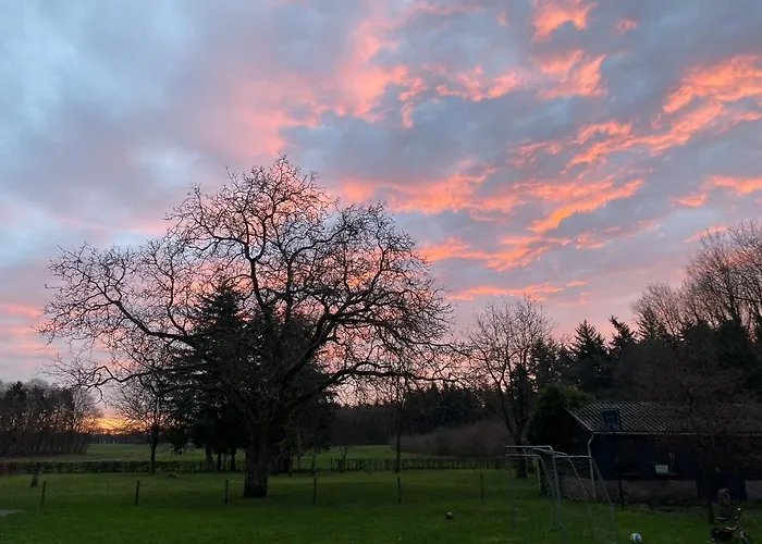 Сasa de vacaciones Bergzicht De Bosuil - Aan Het Bos Lochem