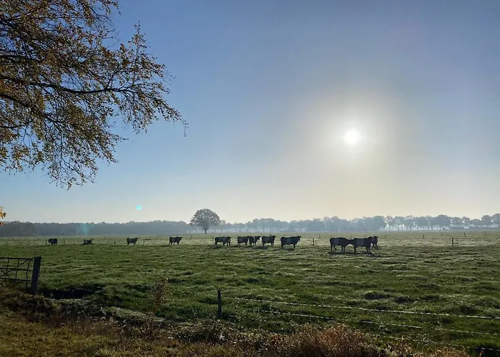 Bergzicht De Bosuil - Aan Het Bos Сasa de vacaciones *