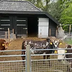 Tatil Evi Bergzicht De Bosuil - Aan Het Bos Lochem