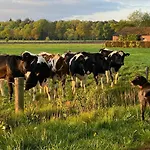 Tatil Evi Bergzicht De Bosuil - Aan Het Bos *