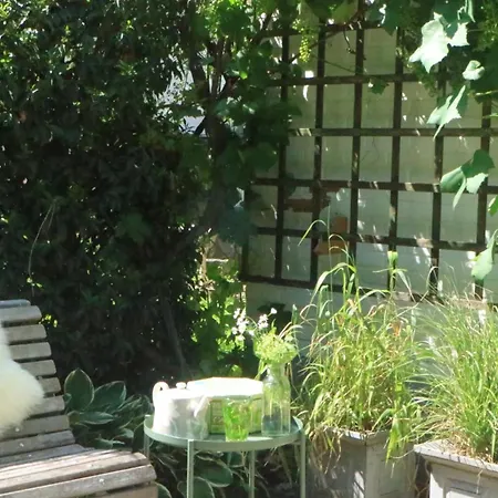 Bergzicht De Bosuil - Aan Het Bos