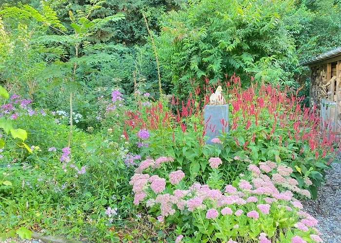 Bergzicht De Bosuil - Aan Het Bos Lochem