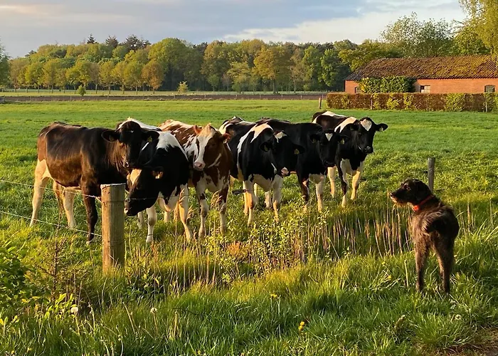 Nyaraló Bergzicht De Bosuil - Aan Het Bos *