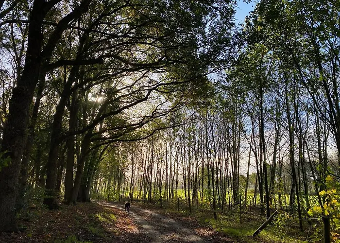 Bergzicht De Bosuil - Aan Het Bos