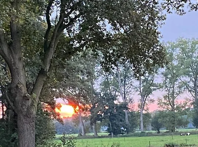 Bergzicht De Bosuil - Aan Het Bos